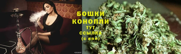 МДПВ Горнозаводск