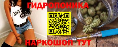 гашик Тулун