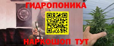 гашик Тулун
