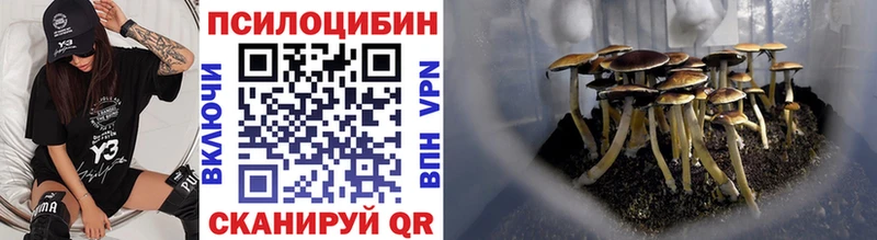 Галлюциногенные грибы Cubensis Шарыпово