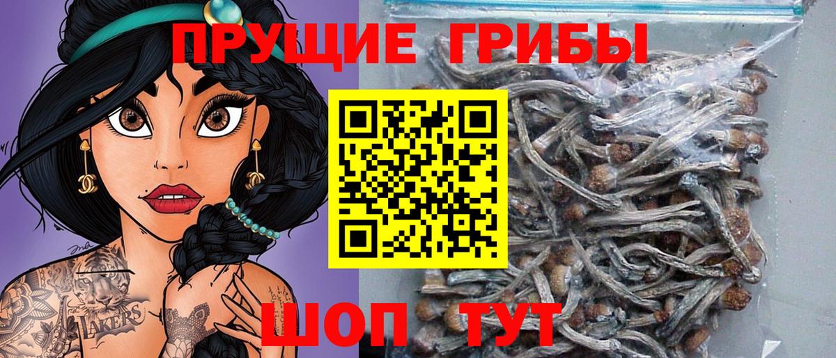 Псилоцибиновые грибы Psilocybine cubensis  Вход с VPN  Шарыпово  Галлюциногенные грибы MAGIC MUSHROOMS 
